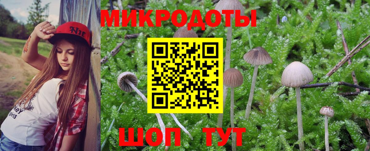 Псилоцибиновые грибы GOLDEN TEACHER Алейск