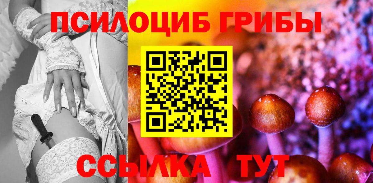 Псилоцибиновые грибы MAGIC MUSHROOMS  Галлюциногенные грибы прущие грибы  Алейск  Вход с VPN 